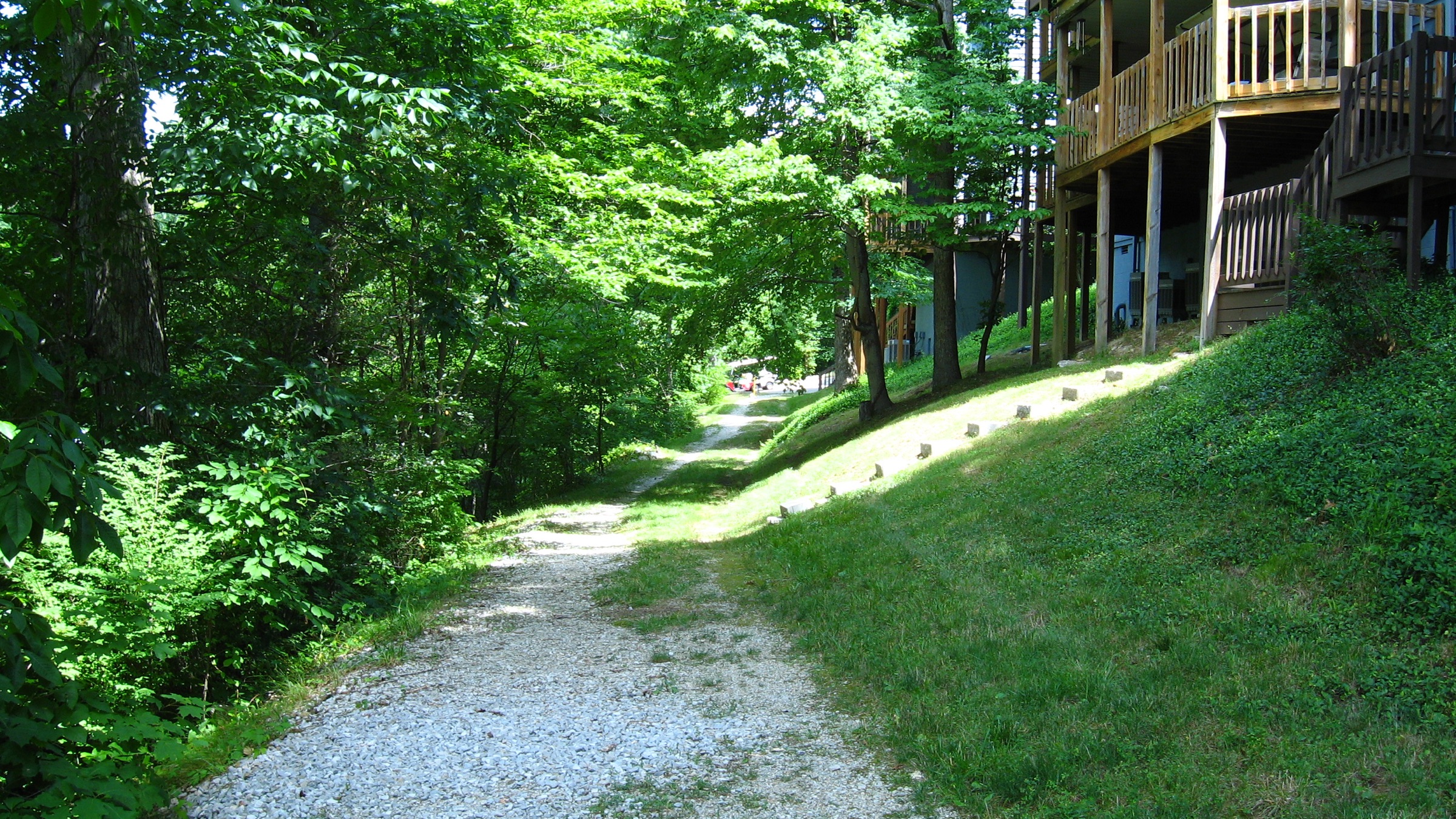Wooded walkway down to the Harbour Pointe boat docks on Lake Monroe