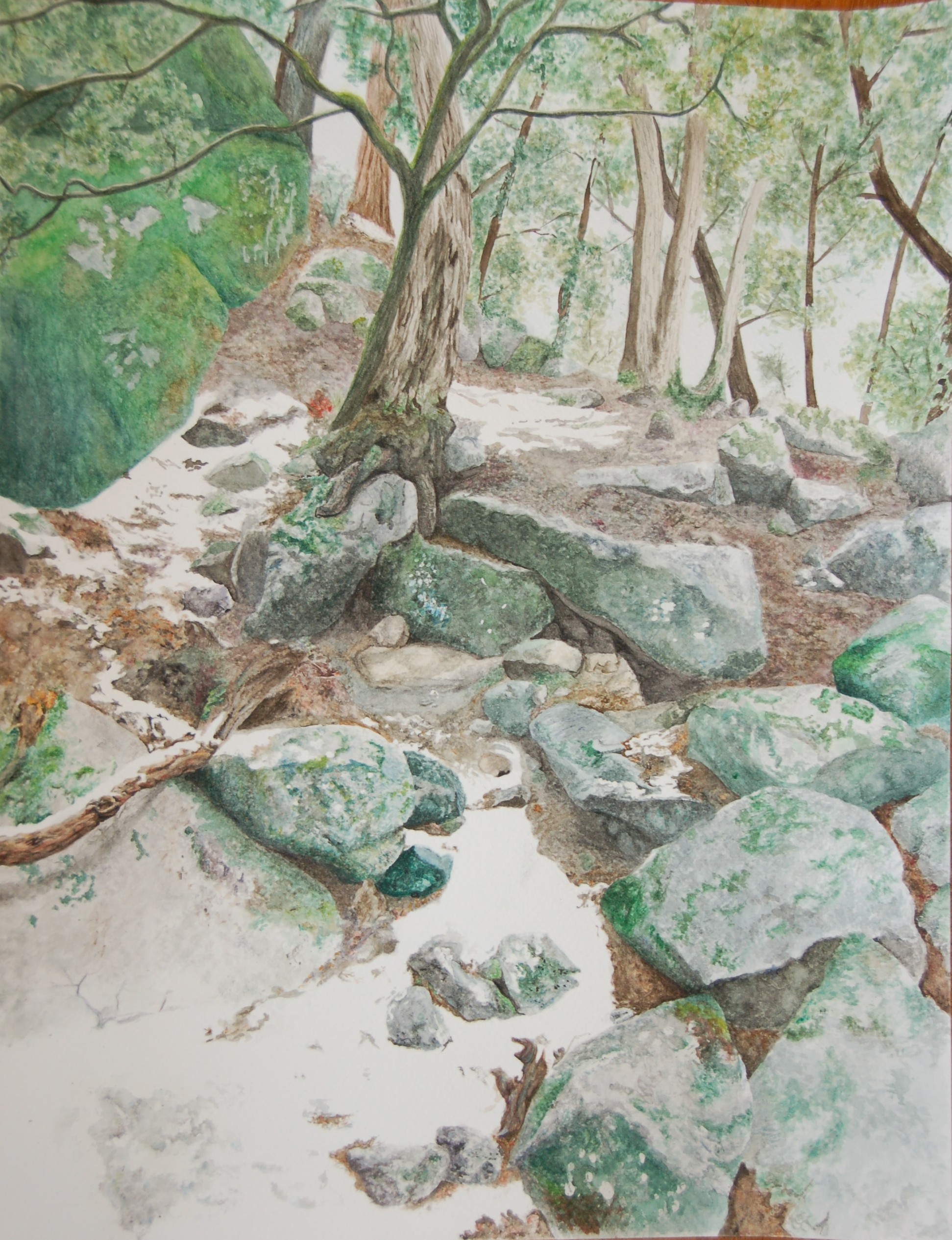 Congressional Art Competition