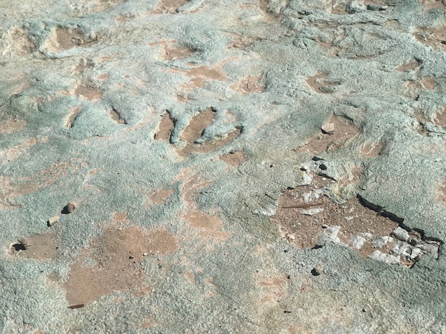 Moab 2020