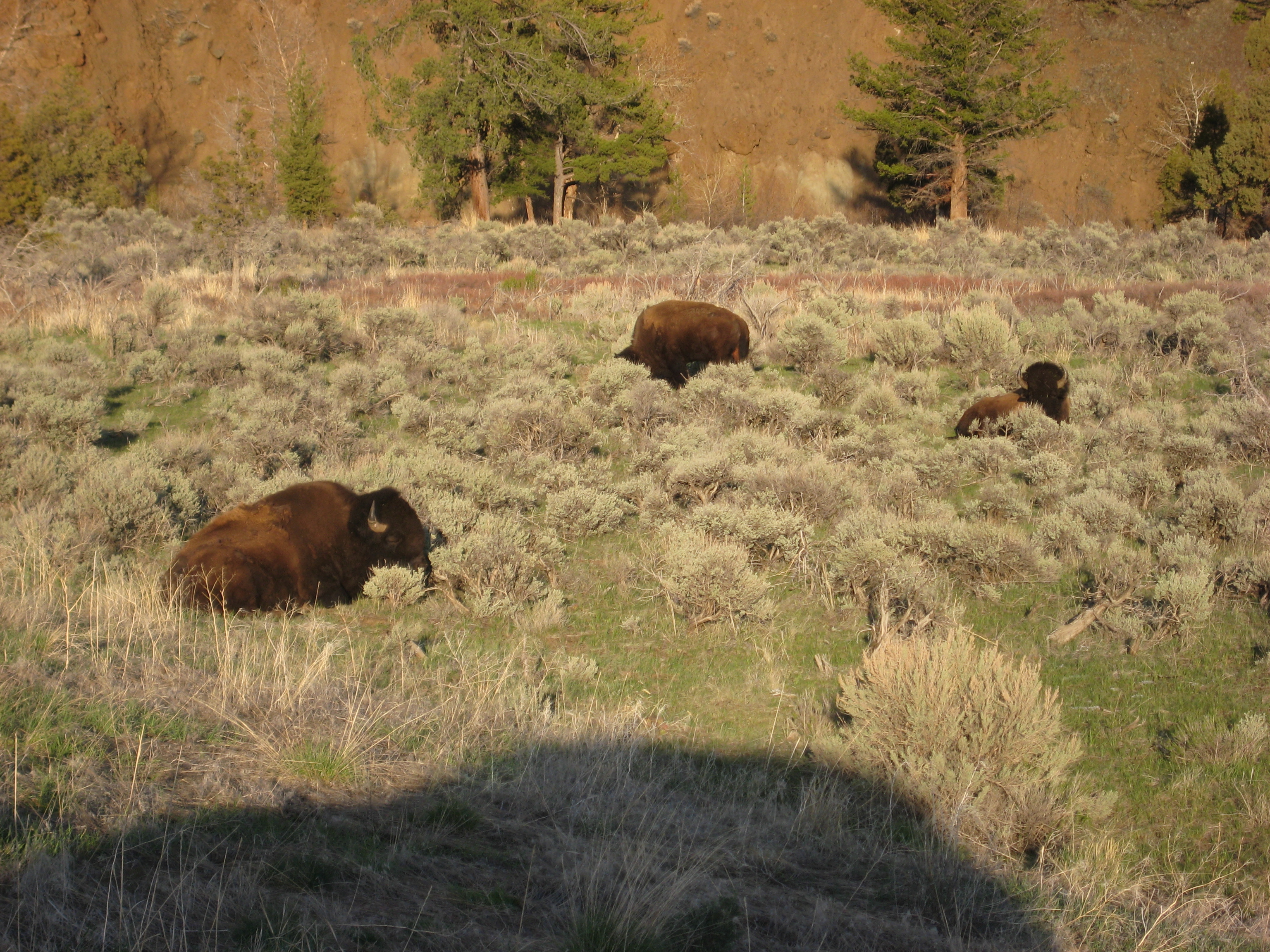 Yellowstone by Air 2011