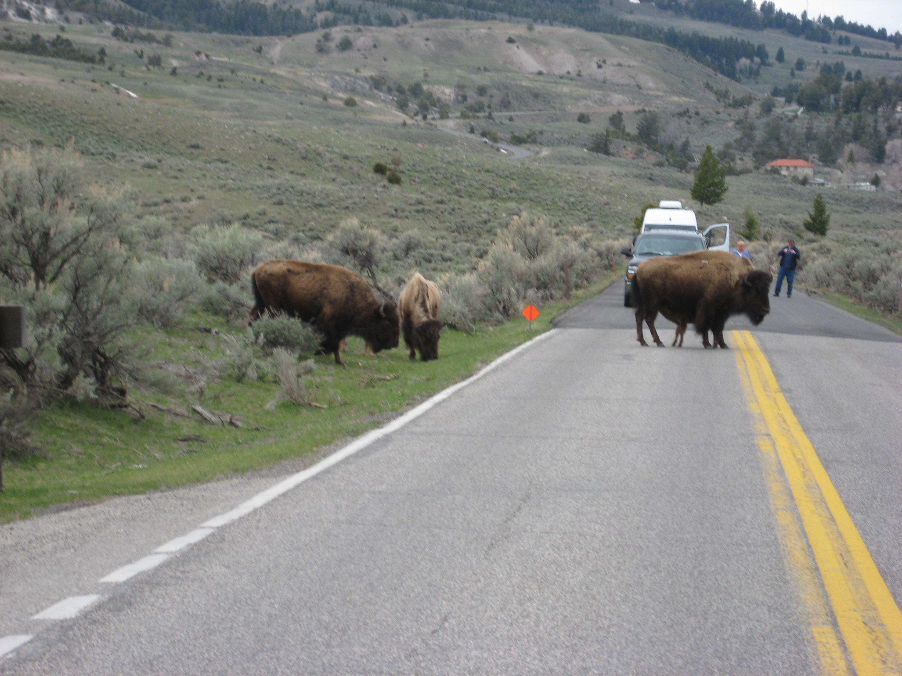 Yellowstone by Air 2011
