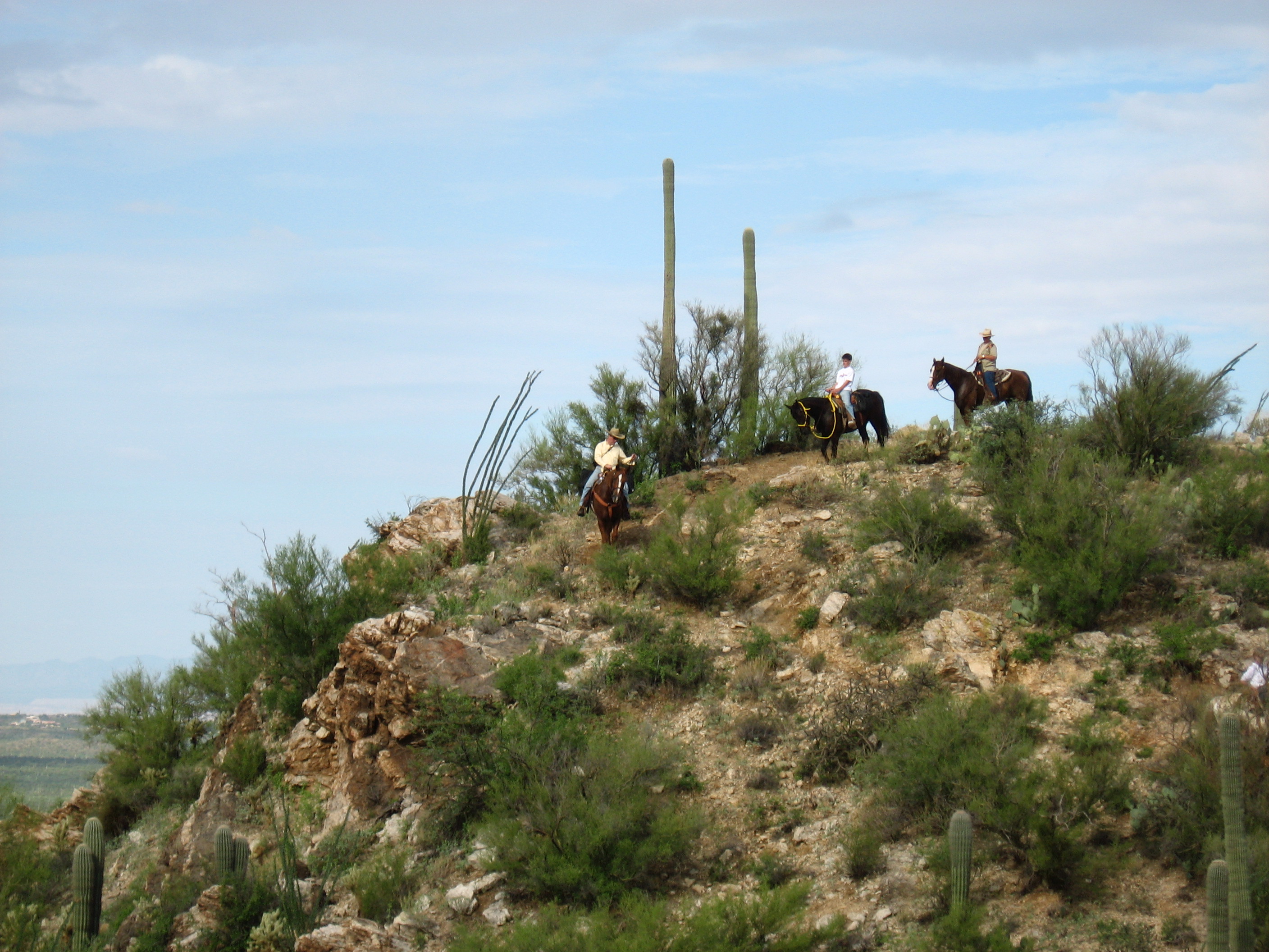 Tucson Dude Ranch